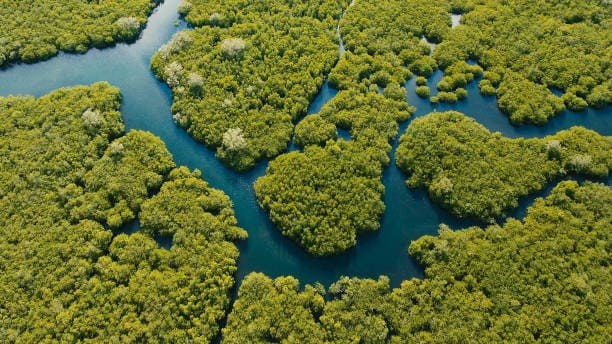 Private Creek Boat Excursion