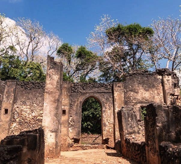 Mnarani Ruins Guided Visit