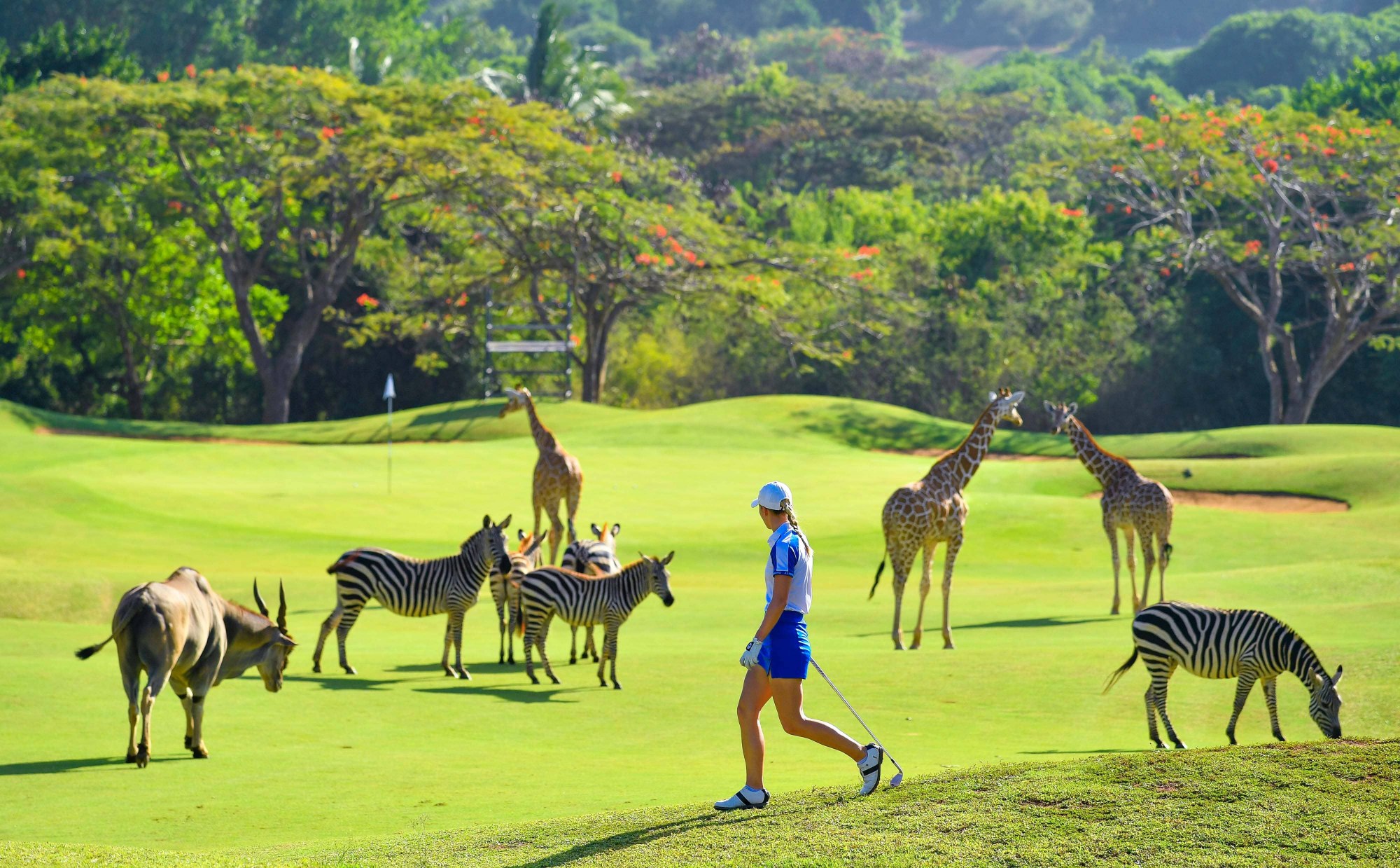 Vipingo Ridge Golf Experience