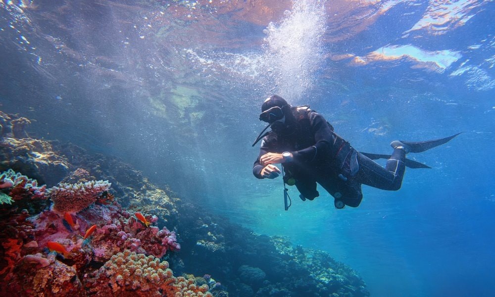 Scuba Diving — Certified (2 dives)