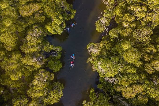 Floating Experience