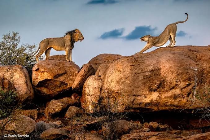 Tsavo West, Amboseli & Tsavo East